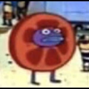 Meet your Posher, Lainy